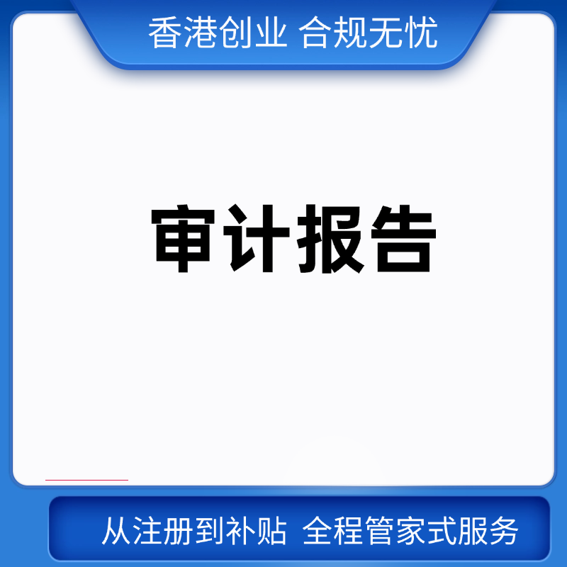 审计报告咨询服务